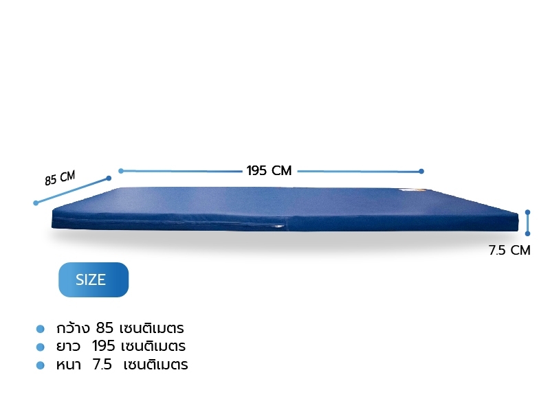 ที่นอนเพื่อสุขภาพ ที่นอนยางพาราแท้ 100% รุ่น Realpad TOP