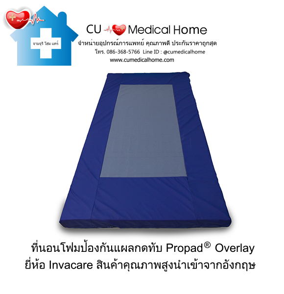 เตียงผู้สูงอายุไฟฟ้า ดีไซน์ไม้ลักซ์ชัวรี่ ยี่ห้อ INVACARE CS8 Floorline Bed